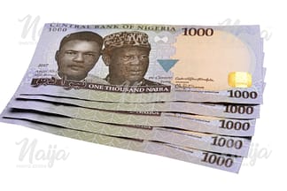 N1,000 NOTES - DIAGONAL VIEW