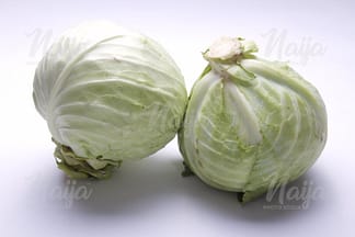 CABBAGE