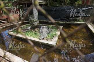 OGBA ZOO, BENIN, EDO STATE