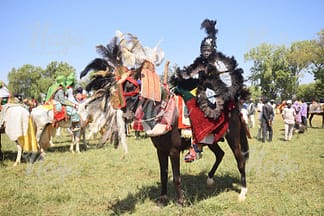 Horse Rider in Kaduna State. Nigeria