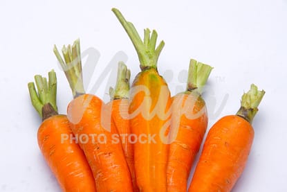 CARROT