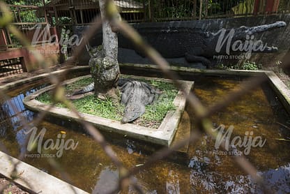 OGBA ZOO, BENIN, EDO STATE