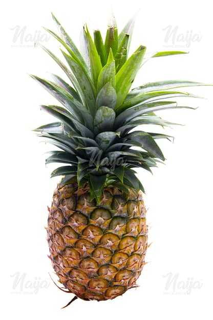 PINEAPPLE
