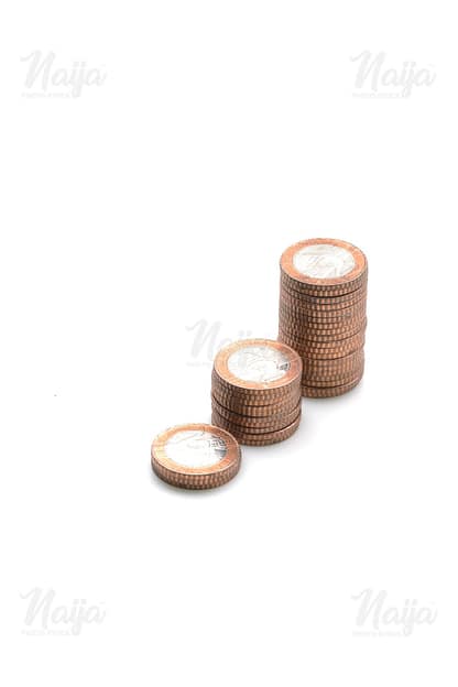 TWO NAIRA COINS