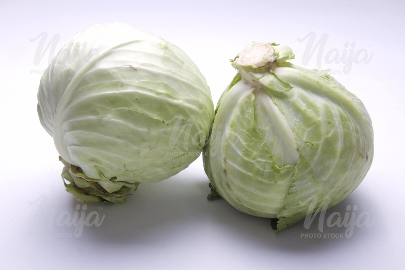 CABBAGE