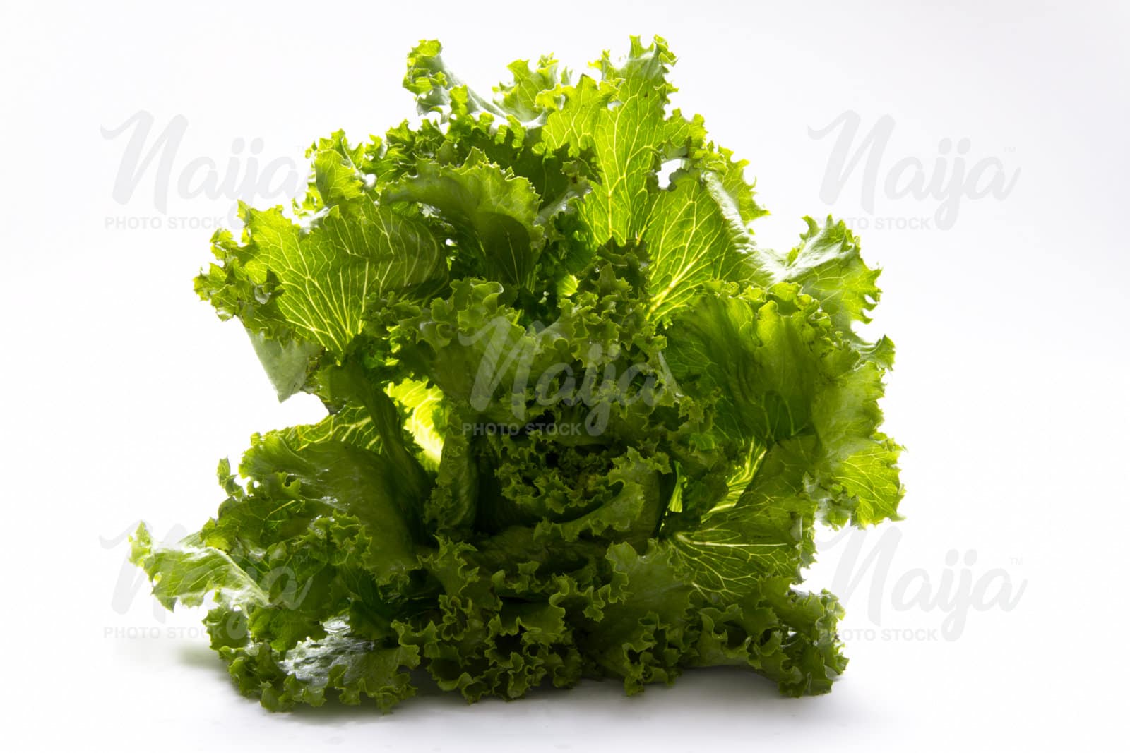 LETTUCE