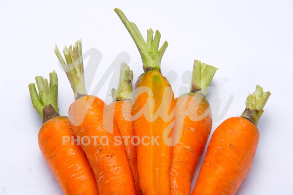 CARROT