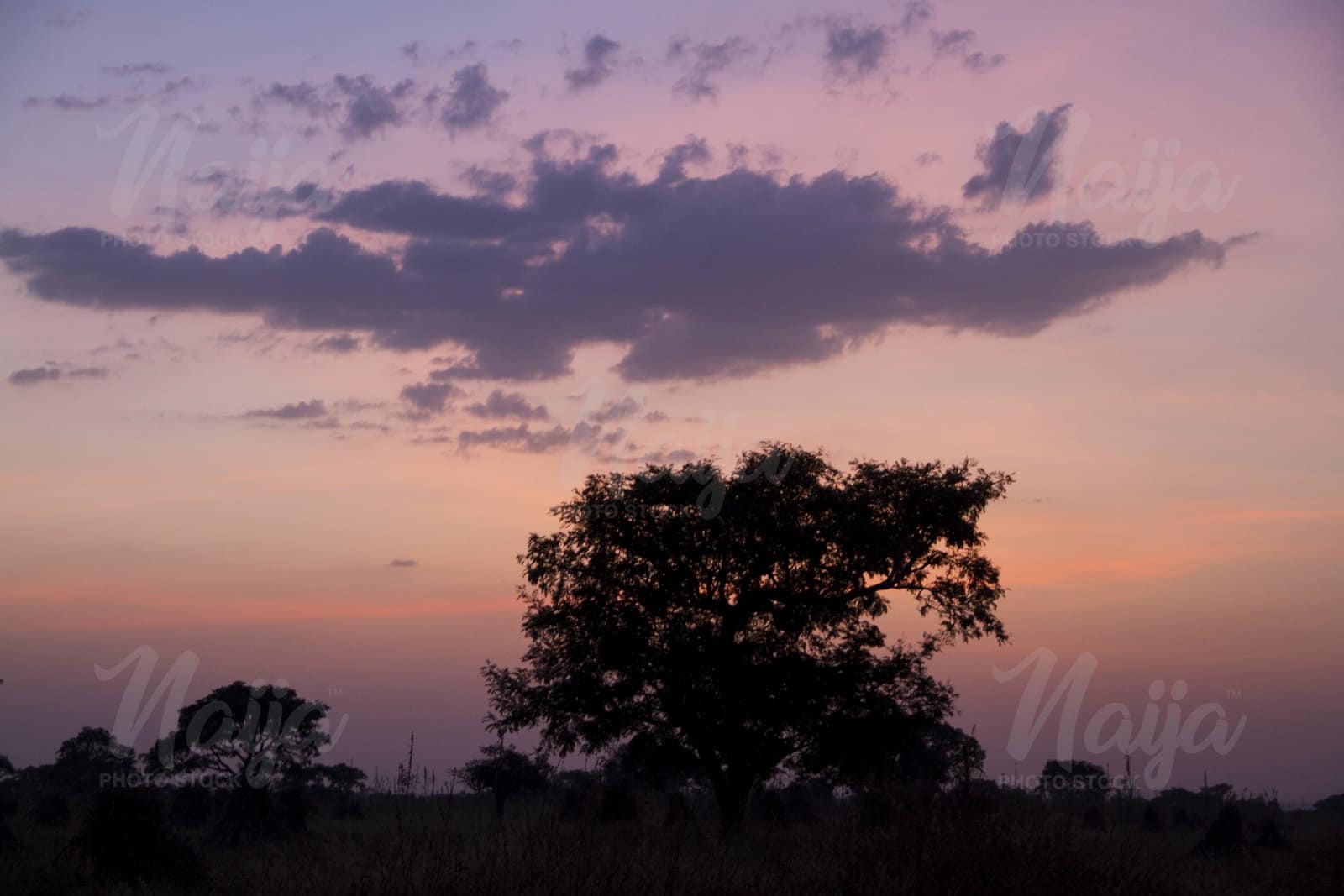 KABUSA, KADUNA SUNSET AND SLHOUETTE