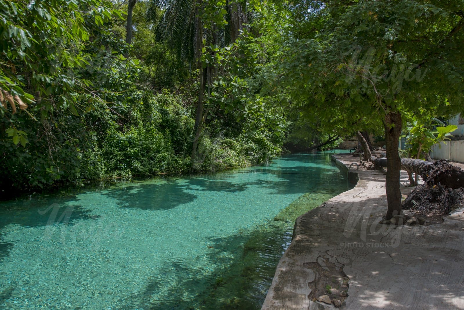 WIKKI WARM SPRING LAKE