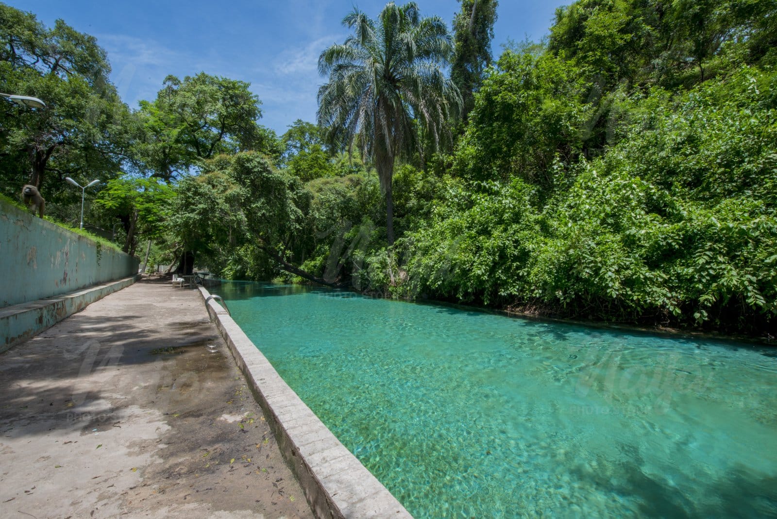 WIKKI WARM SPRING LAKE 3