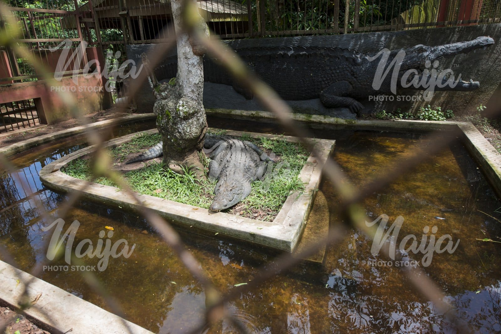 OGBA ZOO, BENIN, EDO STATE