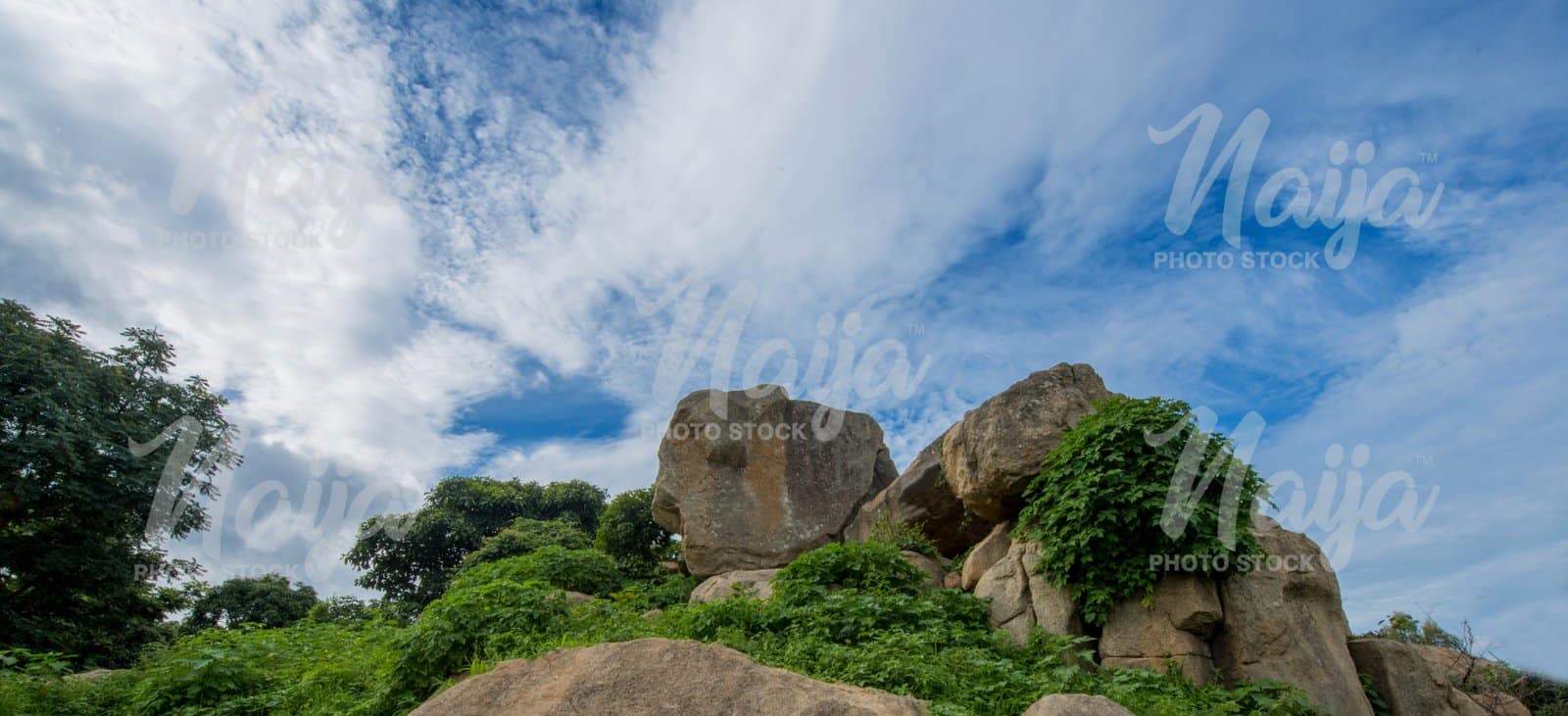 NIGERIAN MAP- SHAPED ROCK IN RAYFIELD