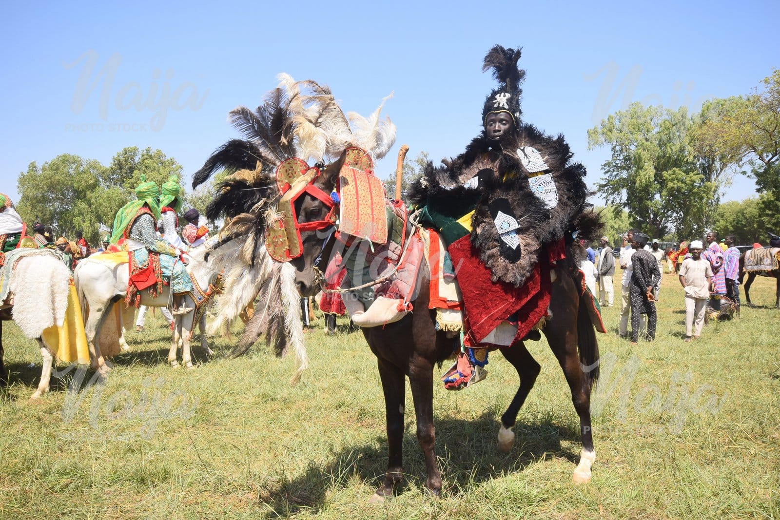 Horse Rider in Kaduna State. Nigeria