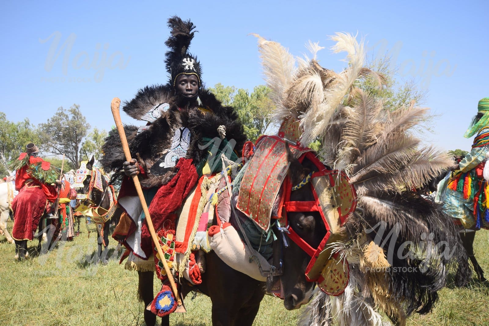 Horse Rider in Kaduna State. Nigeria 2